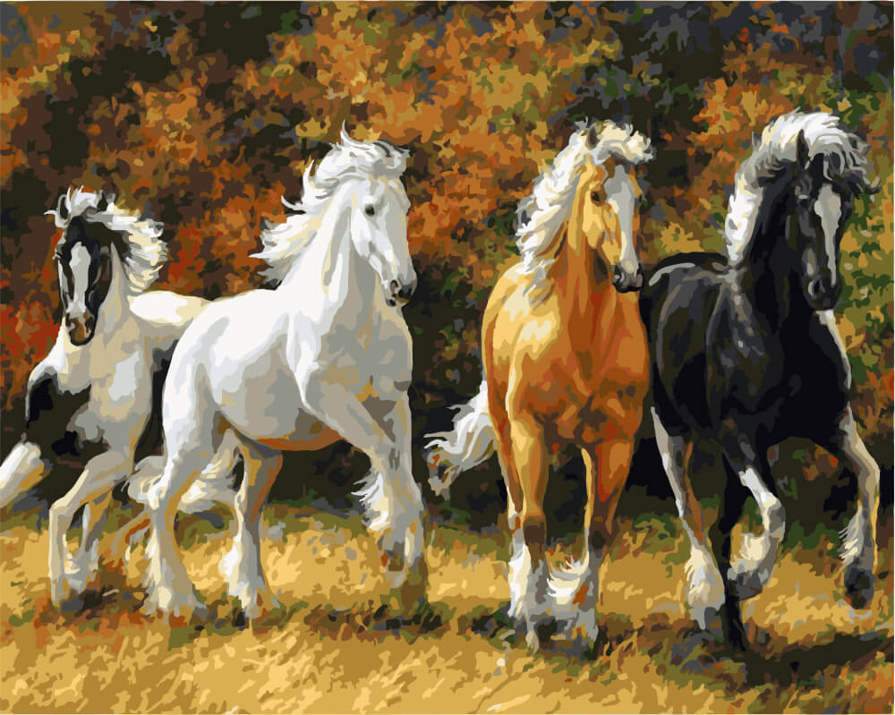 картинки коней разные