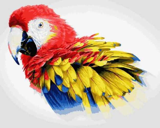 Наборы для вышивания крестом попугаи